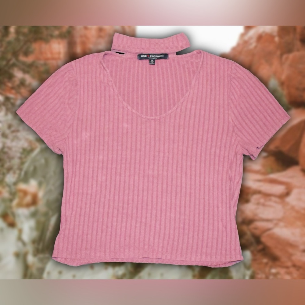 One Clothing Pink Choker Crop Top Sz S